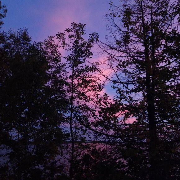 Meet your Posher, Sara - Picture 1 of 1